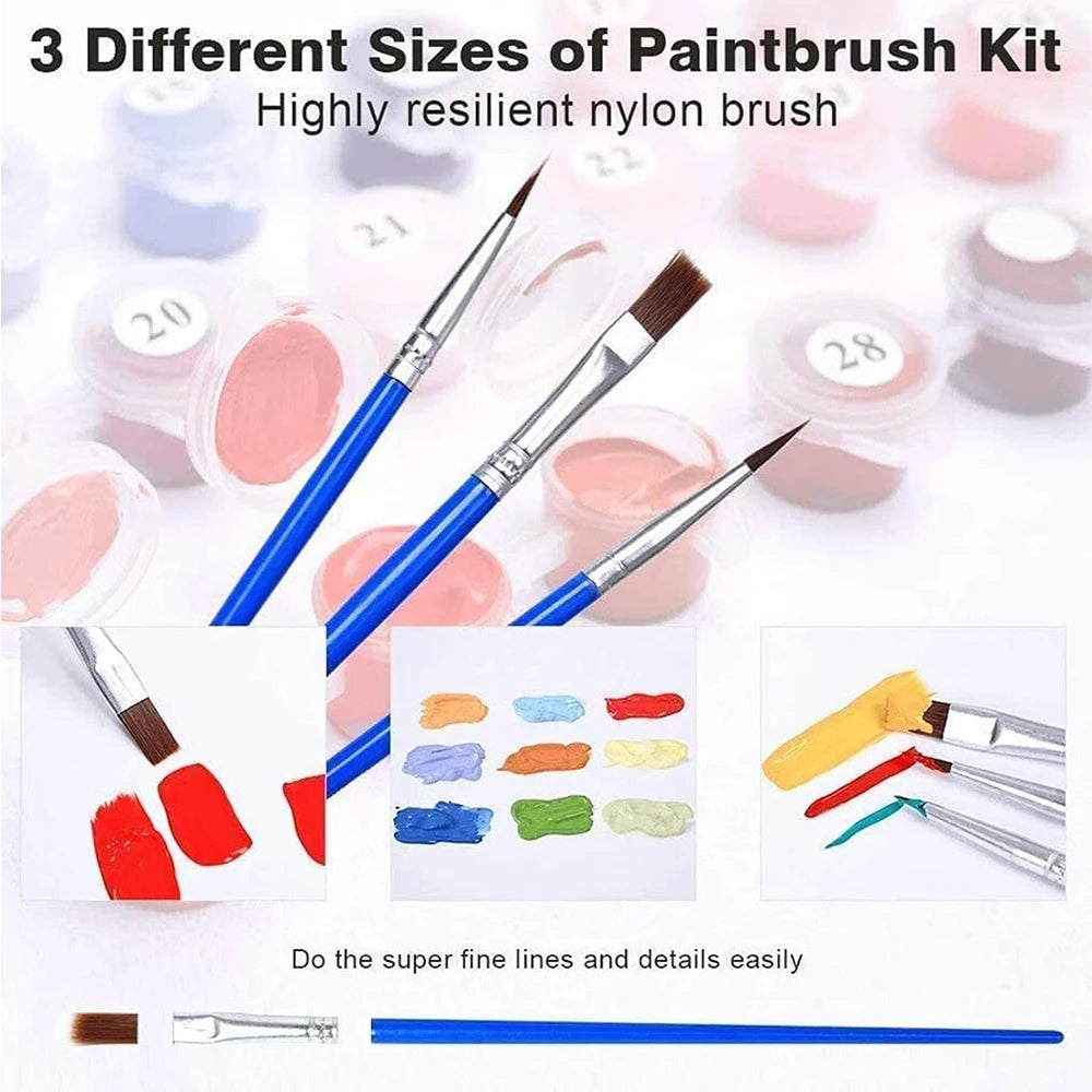 Paint by Numbers Kit